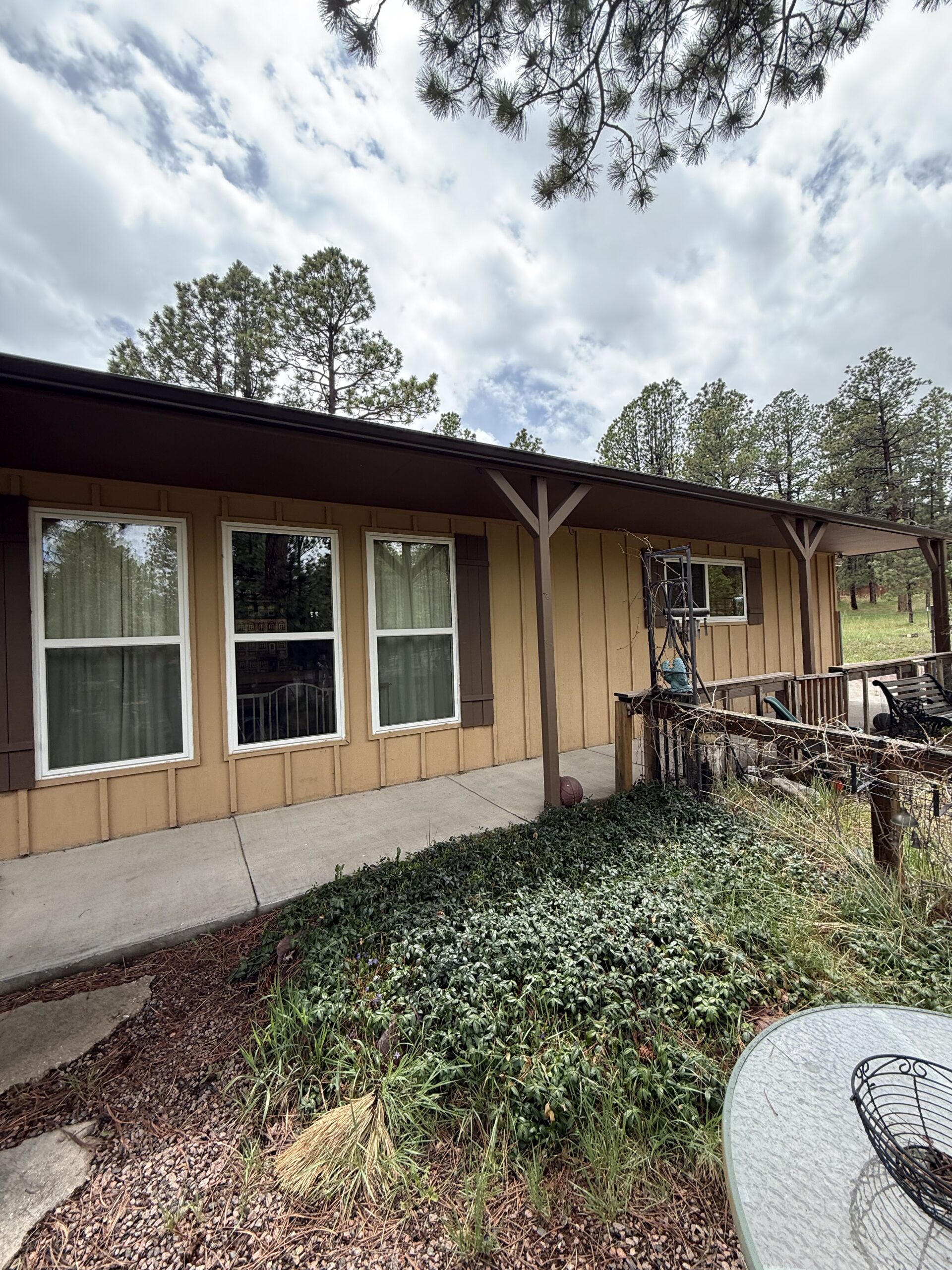 IMG_1527 Exterior Wood Restoration in Black Forest, CO
