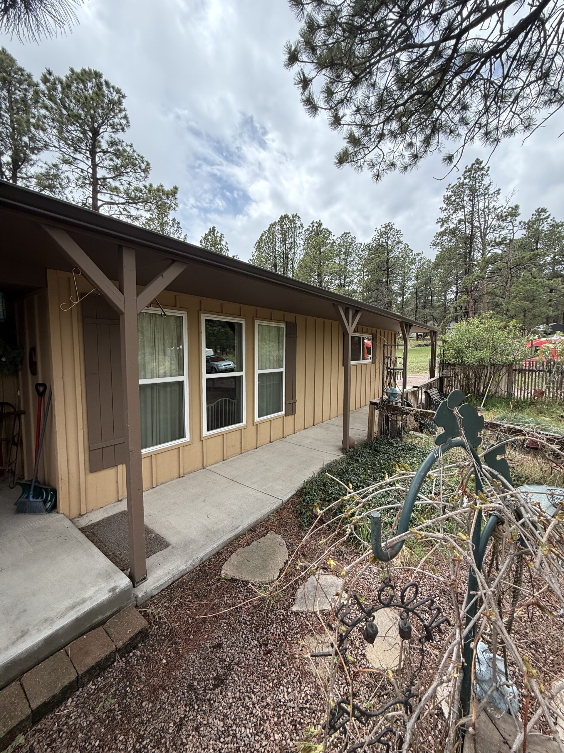 IMG_1530 Exterior Wood Restoration in Black Forest, CO
